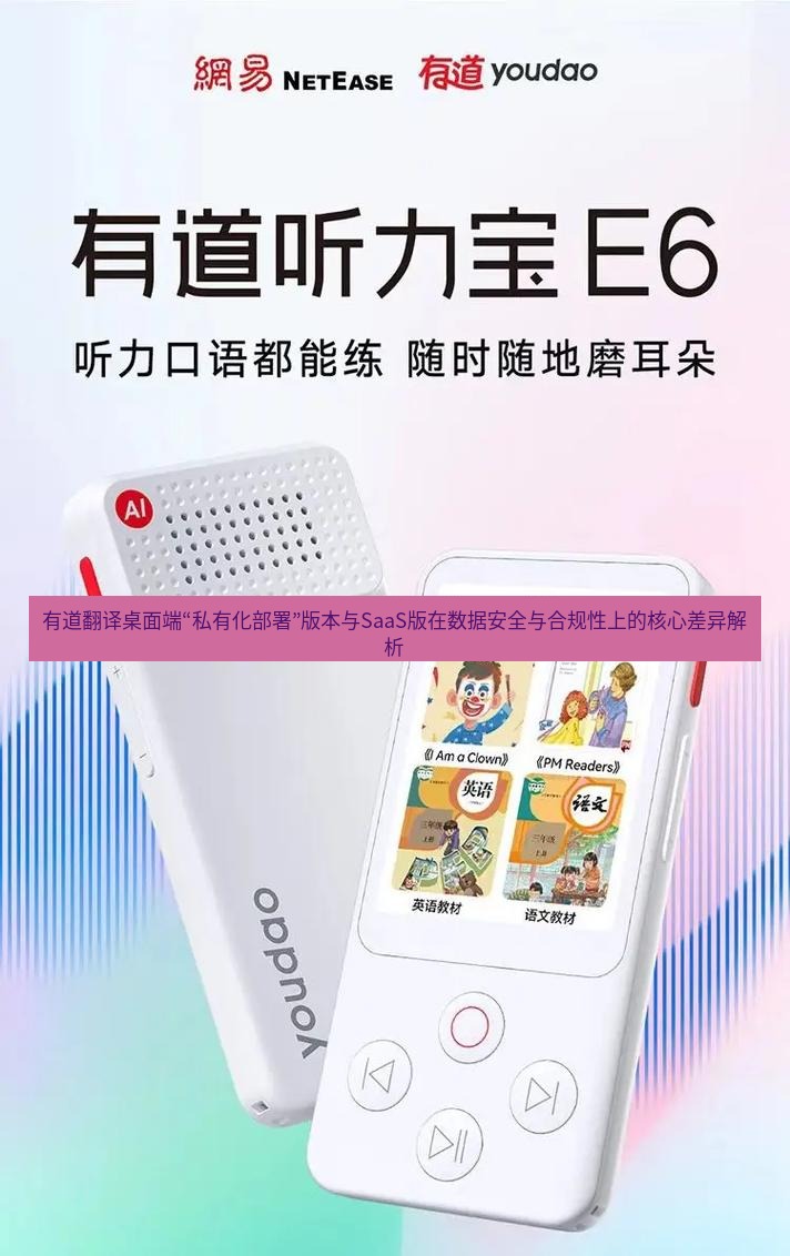 有道词典 有道翻译桌面端“私有化部署”版本与SaaS版在数据安全与合规性上的核心差异解析