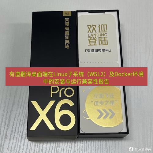 有道词典 有道翻译桌面端在Linux子系统（WSL2）及Docker环境中的安装与运行兼容性报告
