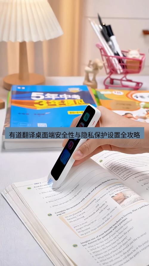 有道词典 有道翻译桌面端安全性与隐私保护设置全攻略