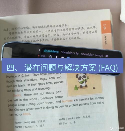 有道词典 四、 潜在问题与解决方案 (FAQ)