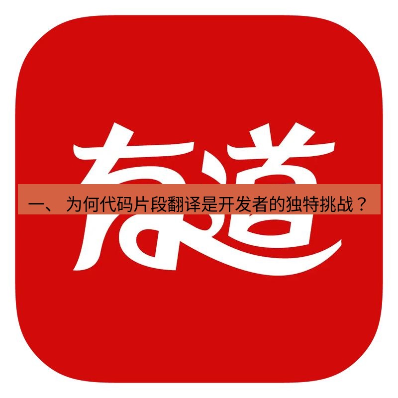 有道词典 一、 为何代码片段翻译是开发者的独特挑战？