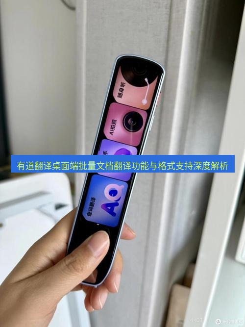 有道词典 有道翻译桌面端批量文档翻译功能与格式支持深度解析