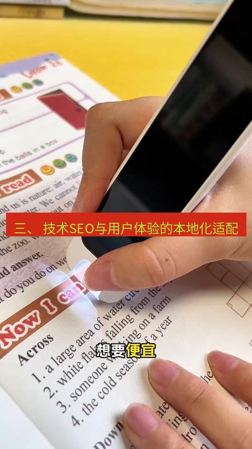 有道词典 三、 技术SEO与用户体验的本地化适配