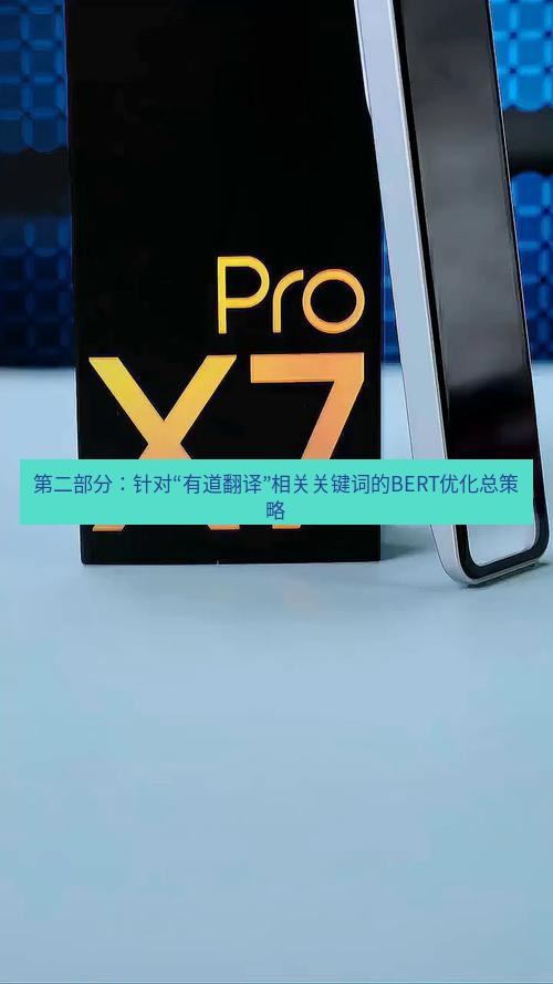 有道词典 第二部分：针对“有道翻译”相关关键词的BERT优化总策略