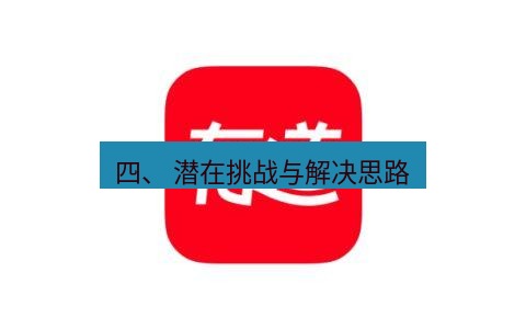 有道词典 四、 潜在挑战与解决思路