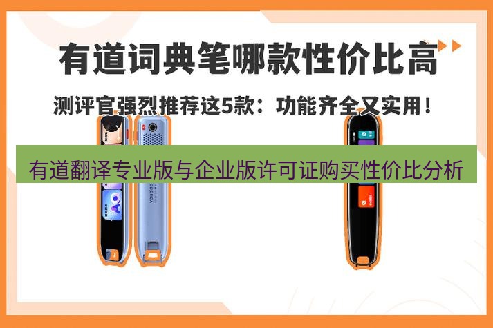 有道词典 有道翻译专业版与企业版许可证购买性价比分析