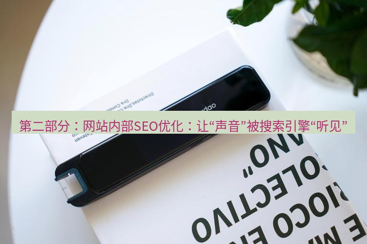 有道词典 第二部分：网站内部SEO优化：让“声音”被搜索引擎“听见”