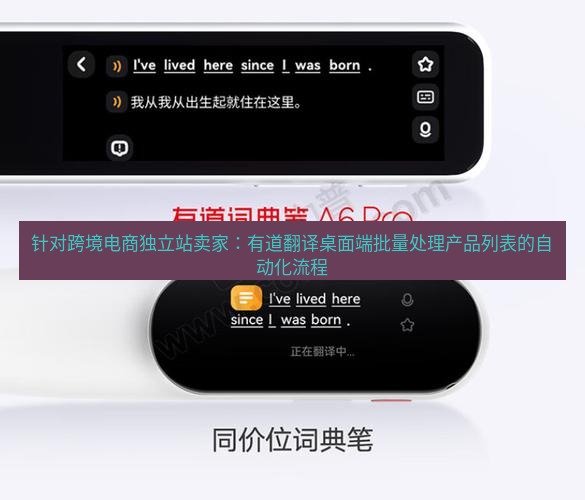 有道词典 针对跨境电商独立站卖家：有道翻译桌面端批量处理产品列表的自动化流程