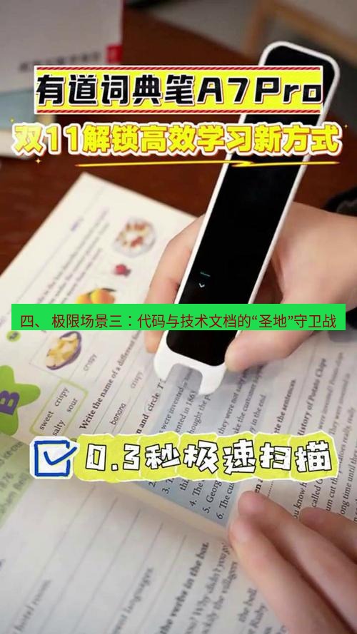 有道词典 四、 极限场景三：代码与技术文档的“圣地”守卫战