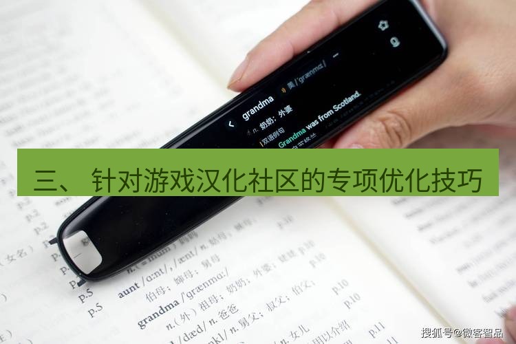 有道词典 三、 针对游戏汉化社区的专项优化技巧