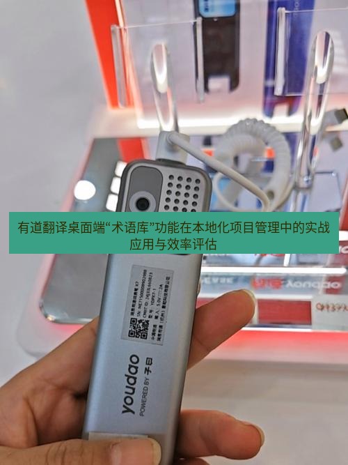 有道词典 有道翻译桌面端“术语库”功能在本地化项目管理中的实战应用与效率评估