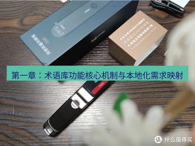 有道词典 第一章：术语库功能核心机制与本地化需求映射