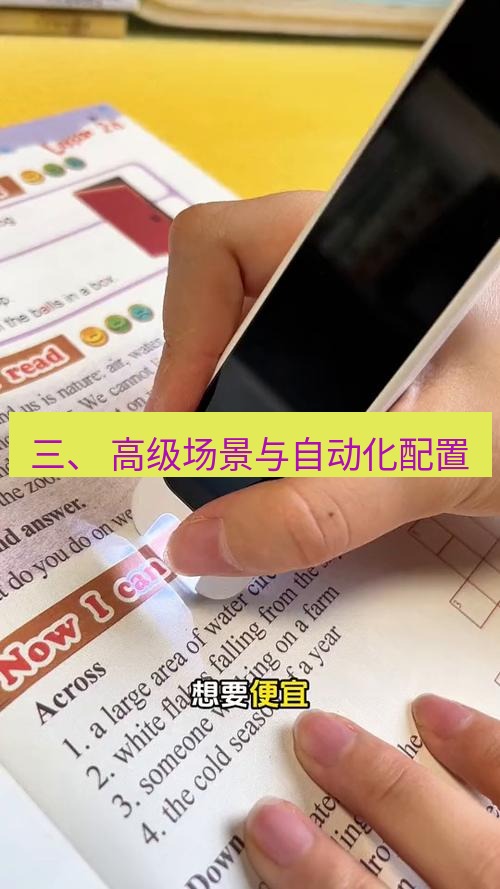 有道词典 三、 高级场景与自动化配置