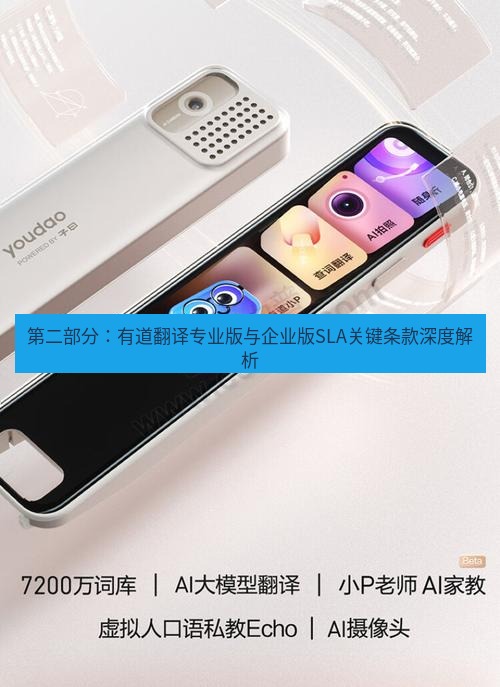 有道词典 第二部分：有道翻译专业版与企业版SLA关键条款深度解析