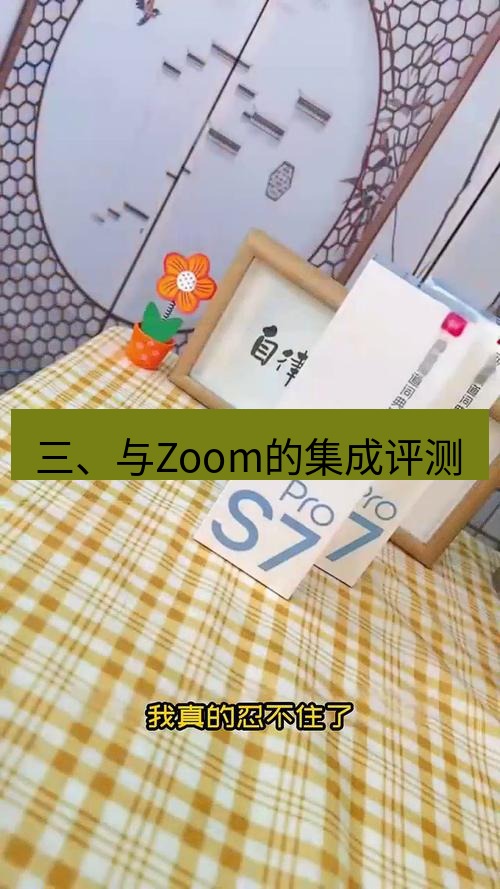 有道词典 三、与Zoom的集成评测