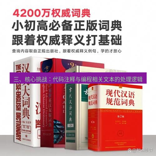 有道词典 三、核心挑战：代码注释与编程相关文本的处理逻辑