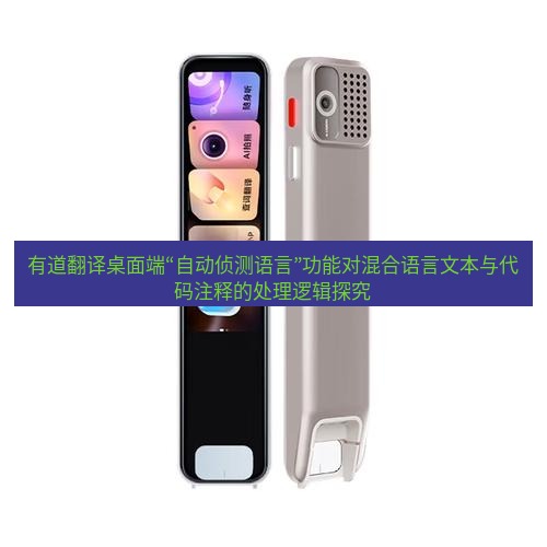 有道词典 有道翻译桌面端“自动侦测语言”功能对混合语言文本与代码注释的处理逻辑探究